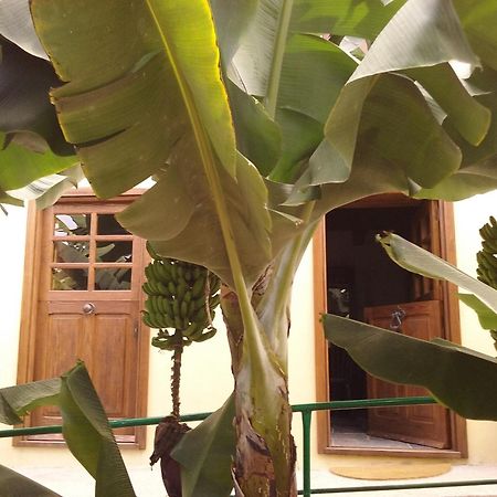 Casa Rural Llano Campo Hermigua Exterior photo